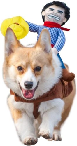 Costumes & Seasonal Wear 1